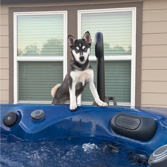 @msmic123 Share Show Flyer - Picture 6 of 14